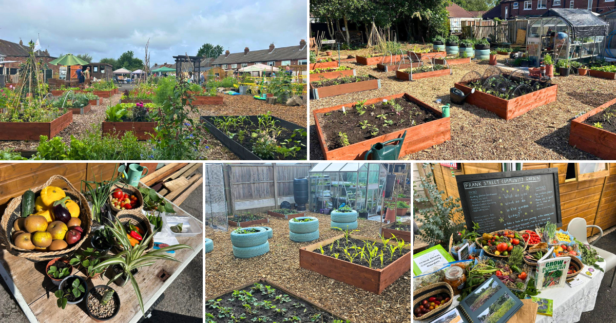 Frank Street Community Garden