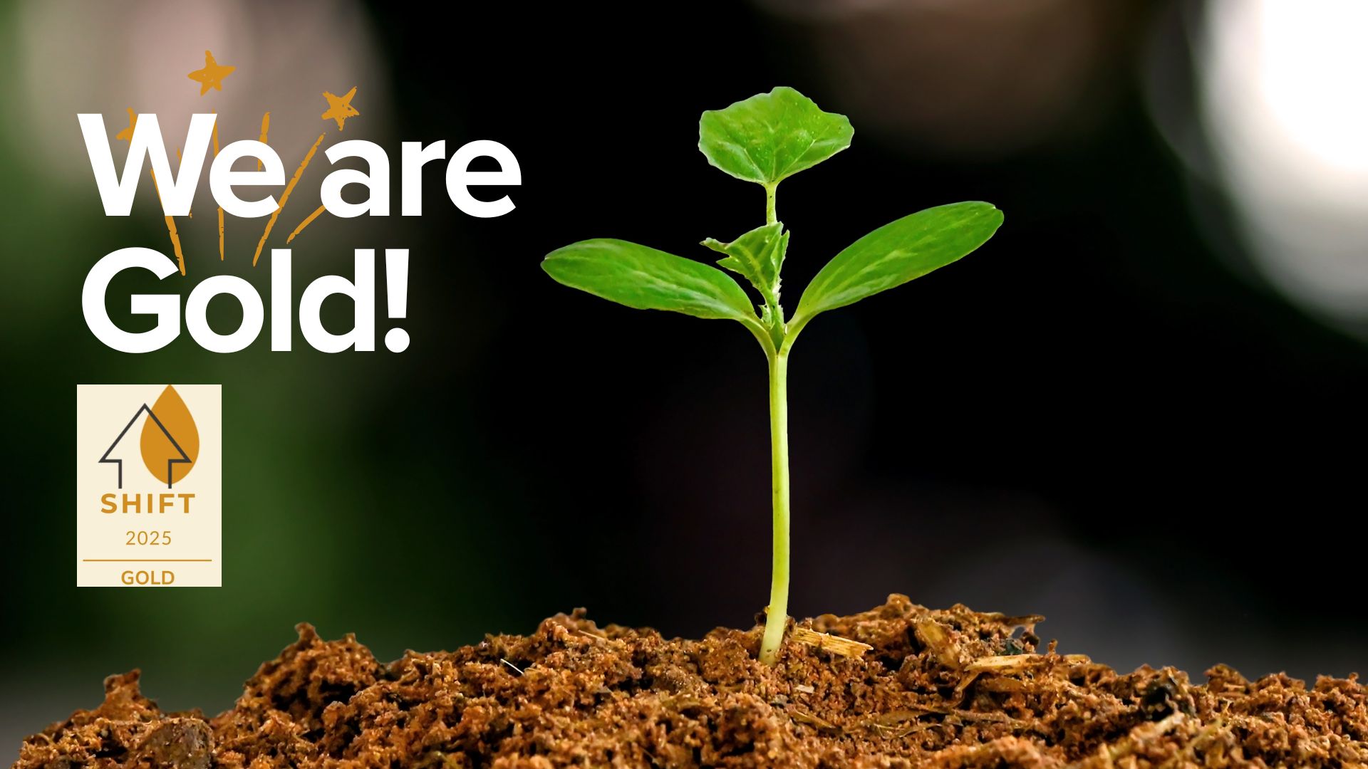 Gold SHIFT assessment